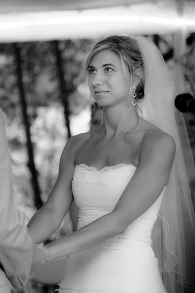 Copyright ©2023 Stephenie Hollyman 